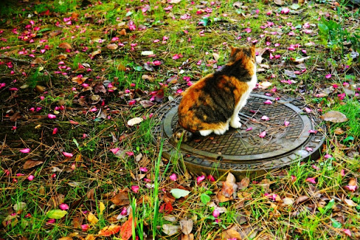 とある一軒家の遺品整理（※イメージ3）